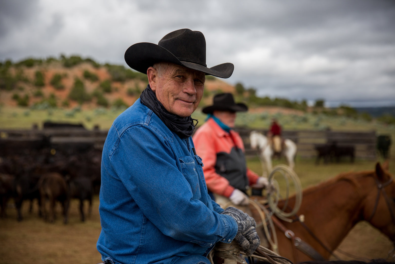 Grass-Fed Beef vs. Corn-Fed Beef: What’s the Difference, and Why Does It Matter?