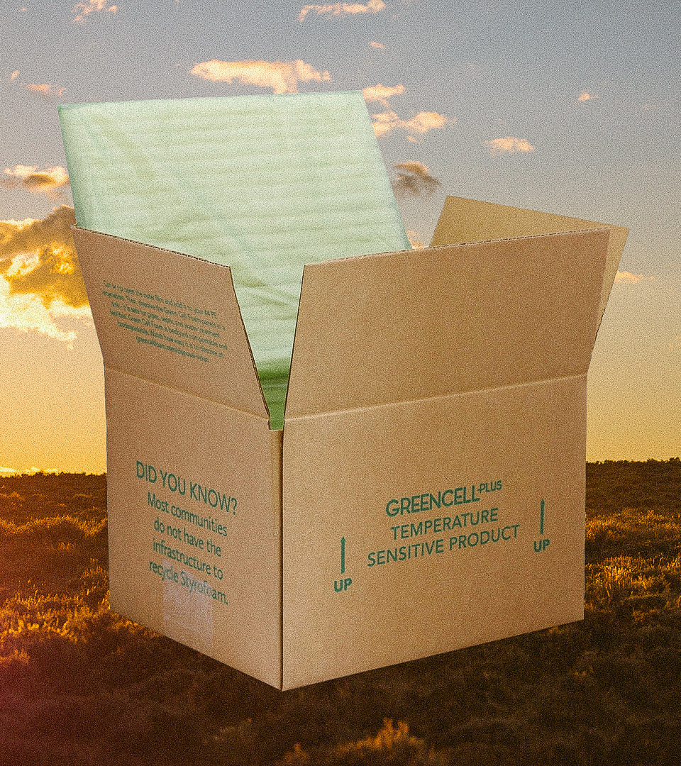 Open top cardboard box with greencell foam cooler with a sky and range backdrop