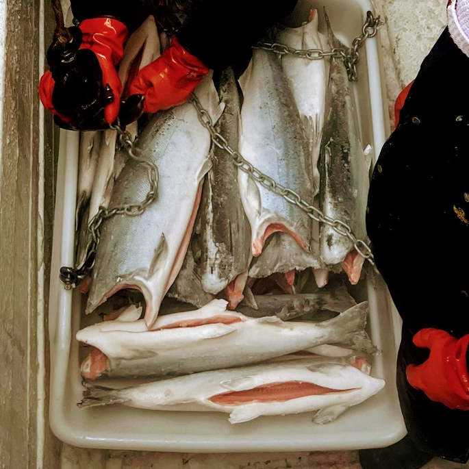 Coho (Silver) Salmon - 1 lb