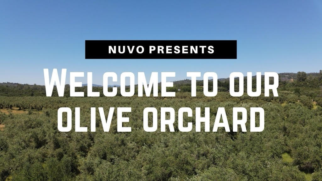 Fused Olive Oil – Tuscan Blend - Garilc, Rosemary,Thyme