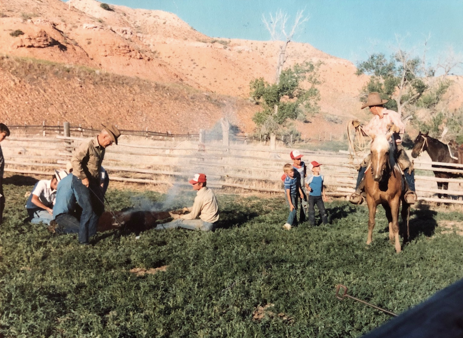 GRASS FED FAMILY TRADITION - Carter Country Meats - CarterCountryMeats