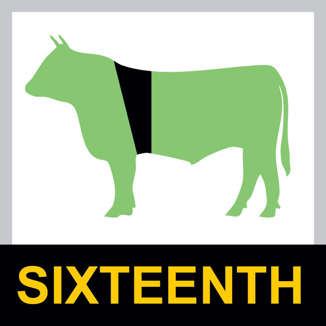 Sixteenth Cow